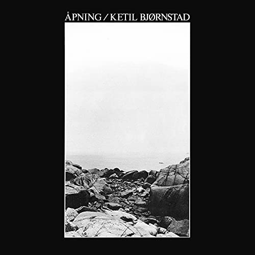 Black and white album cover with rocky shore and pale sky.