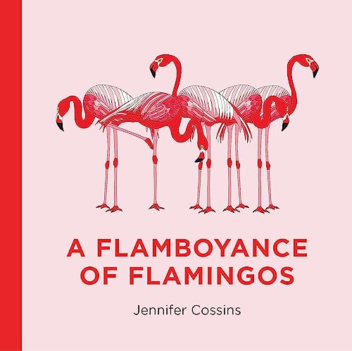 A Flamboyance of Flamingos