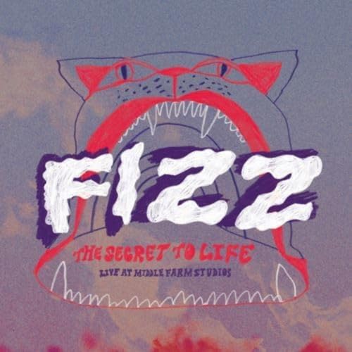 Vinyl album cover for Fizz: "The Secret To Life" with bear illustration.