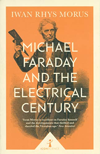 Michael Faraday and the Electrical Century (Icon Science)