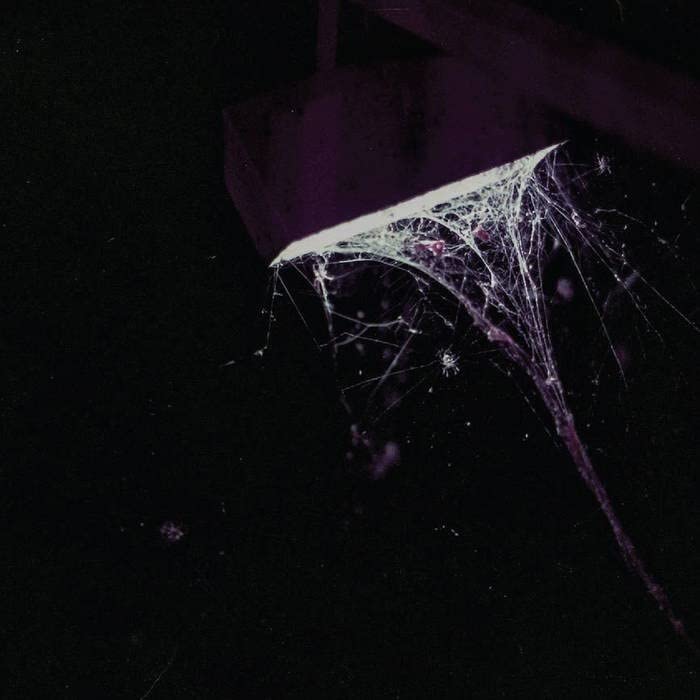 Purple vinyl record cover with a cracked, web-like design.