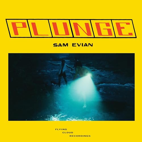 Sam Evian’s “Plunge” vinyl album cover with a nighttime beach scene.