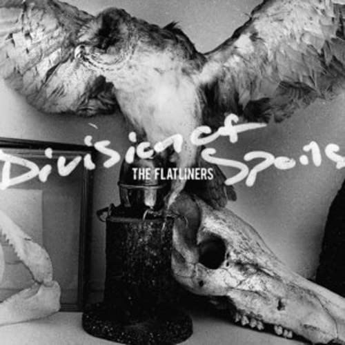 Black and white album cover with bird, skull, and ornate lamp.