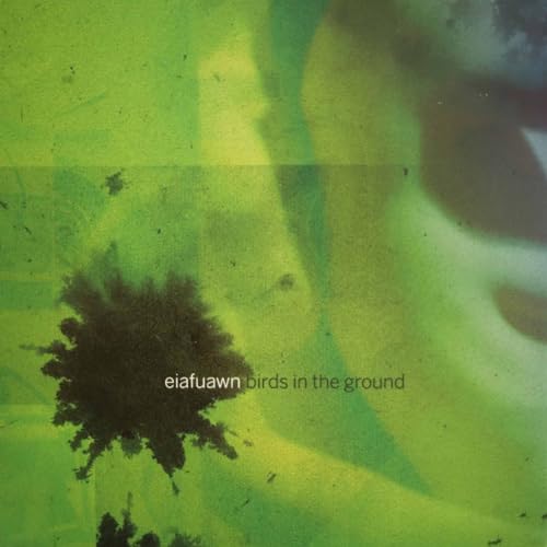 CD cover with a dark flock of birds on a green background.