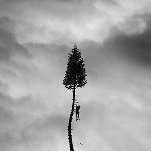 Black and white album cover with a tall tree and a hanging figure.