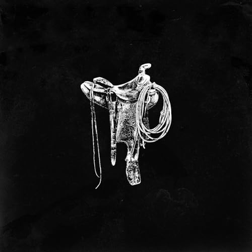 Black and white image of a saddle and lasso against a dark background.