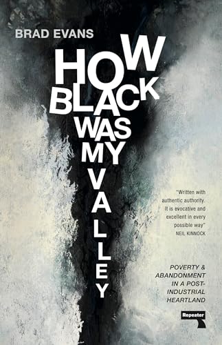 How Black Was My Valley : Poverty and Abandonment in a Post-Industrial Heartland