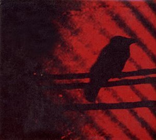 Silhouetted bird on a fence against a textured, fiery red background.