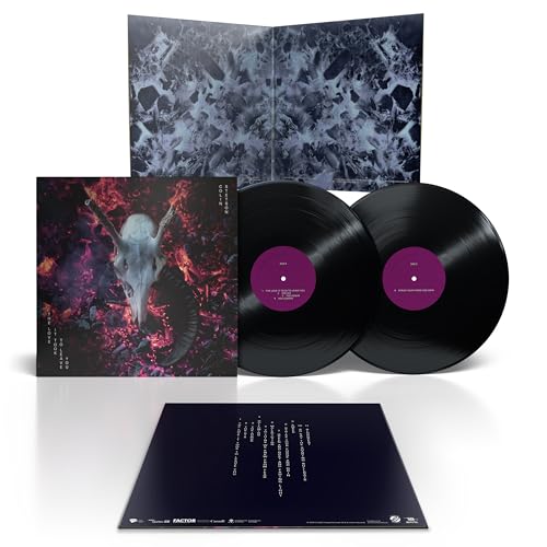 Double vinyl record of Stetson, Colin’s “Love It Took To Leave You,” with artwork.
