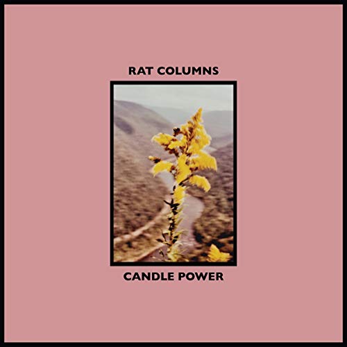 Record album cover: landscape with yellow flowers, pink background.
