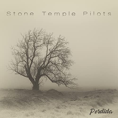 Stone Temple Pilots’ “Perdida” album cover: bare tree in a foggy landscape.