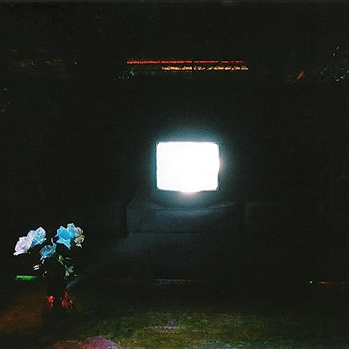 Dark room with glowing screen and vase of blue roses.