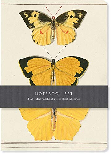 Butterfly Notebook Set: 3 A5 lined notebooks with stitched spines