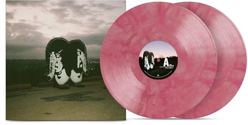 Vinyl record of Death From Above 1979’s “The Physical World” album.