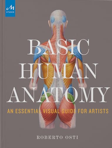 BASIC HUMAN ANATOMY