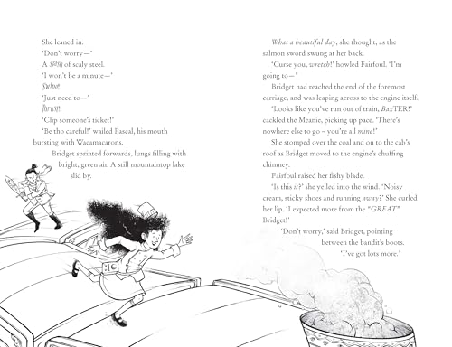 Bridget Vanderpuff and the Monster Mountain Mystery