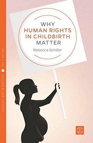 Why Human Rights in Childbirth Matter (Pinter & Martin Why It Matters: 9)