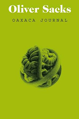Oaxaca Journal