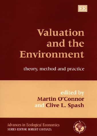 Valuation and the Environment: Theory
