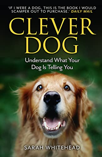 Book cover featuring a golden retriever and the title "Clever Dog.