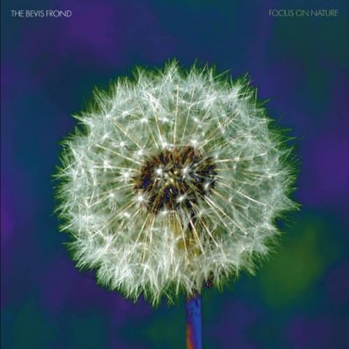 Album cover: close-up of a dandelion seed head on purple background.