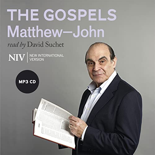 NIV Bible: the Gospels : Matthew-John