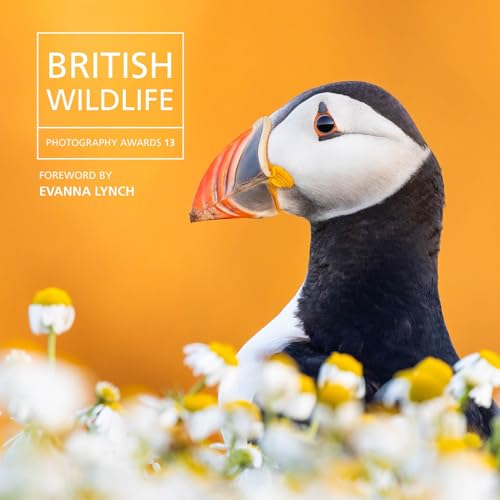 British Wildlife Photography Awards 13 : 13