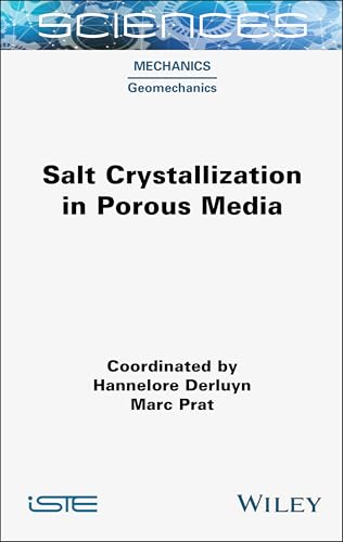 Salt Crystallization in Porous Media