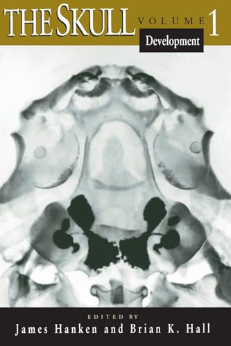 The Skull: v. 1: Development