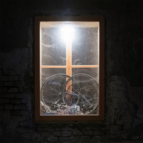 Vinyl record cover with a bicycle silhouetted in a window frame.