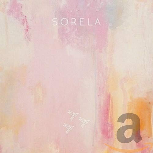 CD cover with abstract pink and orange watercolor and bird shapes.