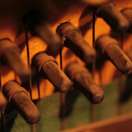 Close-up of brown cylindrical objects with wrappings against an orange background.