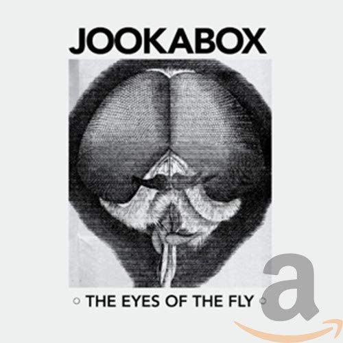 CD cover for Jookabox’s “The Eyes of the Fly” with insect eyes imagery.
