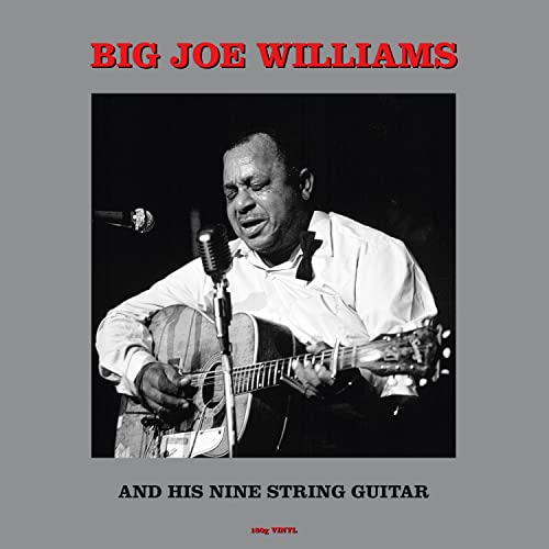 Black and white portrait of Big Joe Williams playing a nine-string guitar.