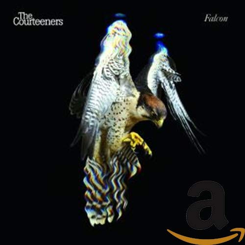 CD cover for The Courteeners’ “Falcon” featuring a stylized falcon image.