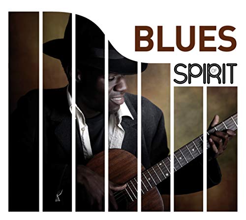 Album cover: blues musician with guitar, fragmented by vertical stripes.