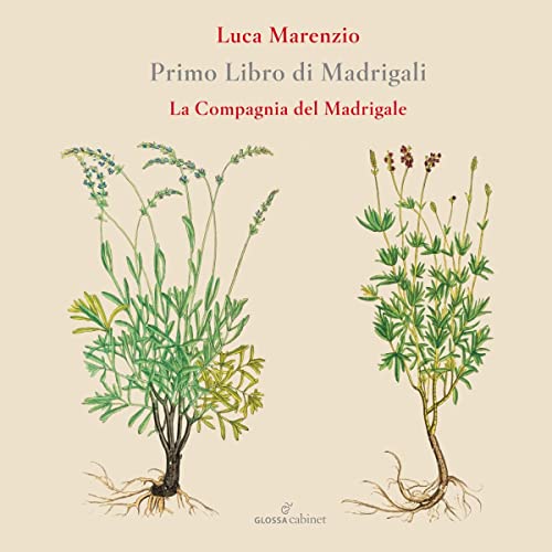 CD cover for Luca Marenzio’s “Primo Libro Di Madrigali” with plant illustrations.
