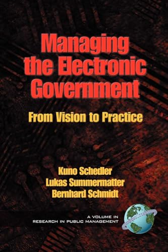 Managing the Electronic Government : From Vision to Practice