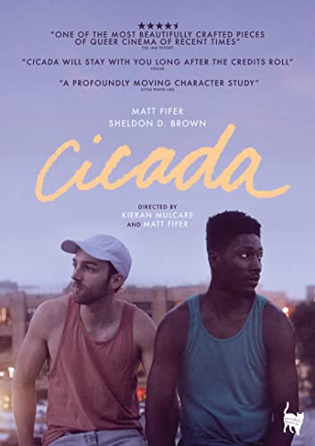 DVD cover for "Cicada" featuring two young men looking away from the camera.