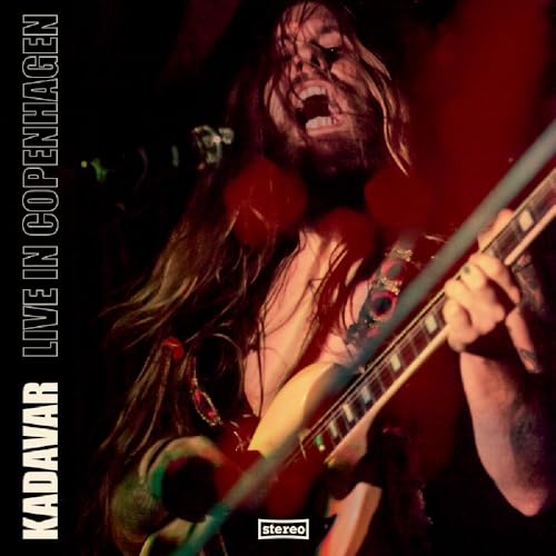 A long-haired man singing and playing electric guitar on a dark, red-lit stage.