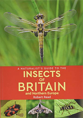 A Naturalist's Guide to the Insects of Britain and Northern Europe (2nd edition)