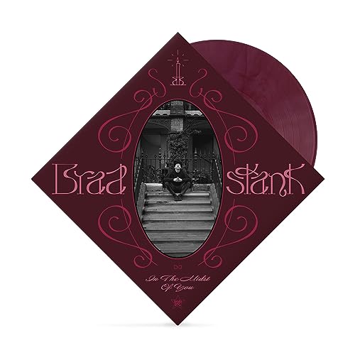 Brad Stank vinyl record cover featuring a man sitting on stairs inside an oval.