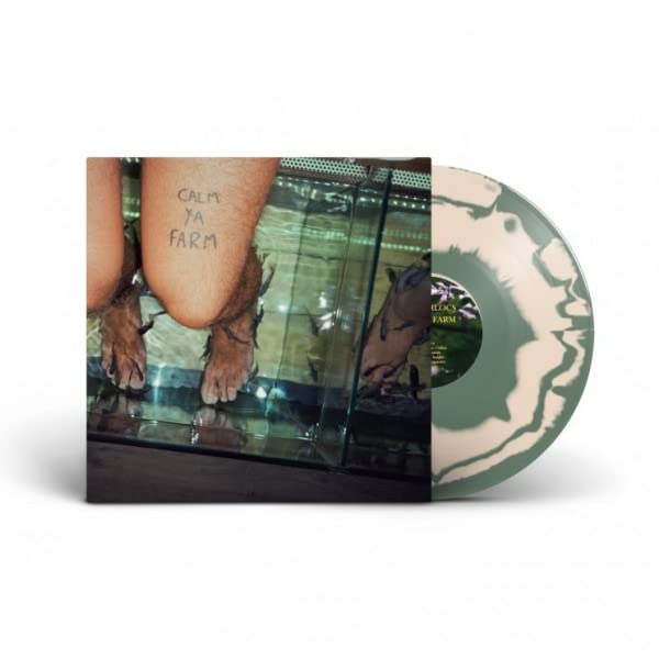 Vinyl record cover with legs in water above small fish.