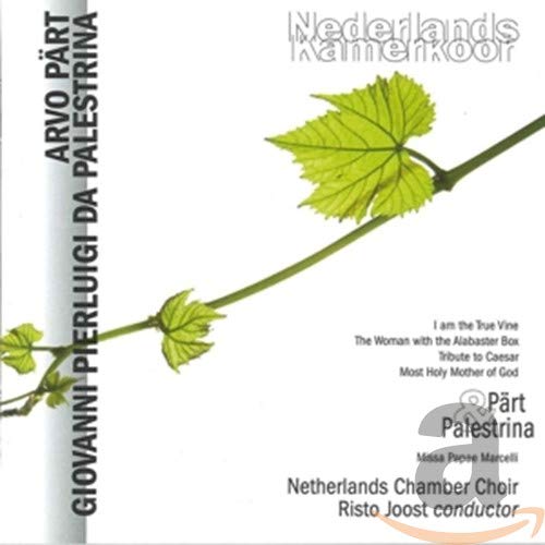 CD cover featuring a green vine branch with leaves on a white background.