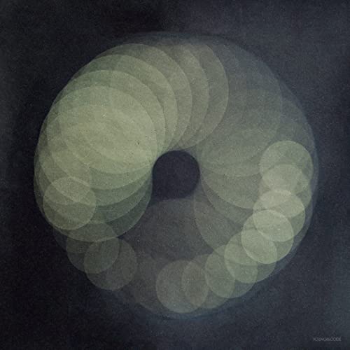 A ring of overlapping pale circles set against a dark, textured background.
