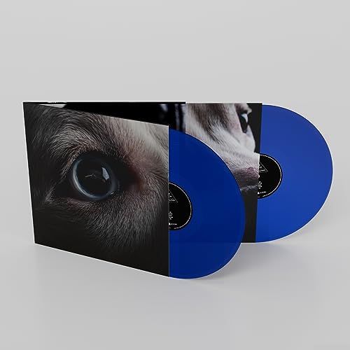 Pink Floyd’s “Dark Side of the Moon” double vinyl record in blue.