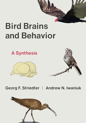 Bird Brains and Behavior : A Synthesis
