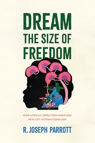 Dream the Size of Freedom : How African Liberation Mobilized New Left Internationalism