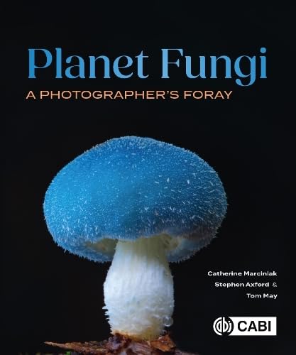 Planet Fungi : A Photographer's Foray