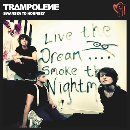 Album cover for Trampolene’s “Swansea To Hornsey” featuring three people and graffiti.